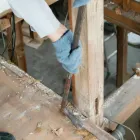 正社員